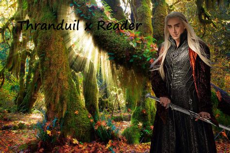 thranduil x reader|More.